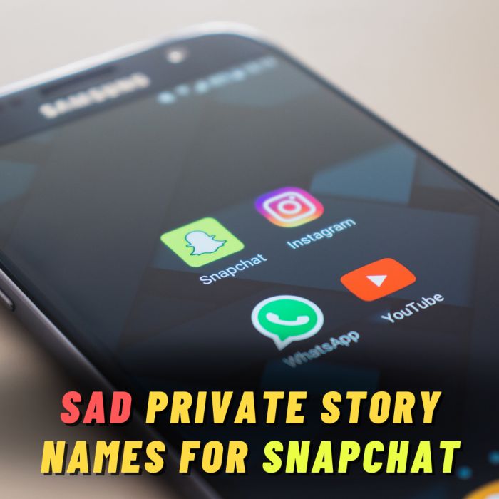 300 Funny Offensive Private Story Names For Snapchat