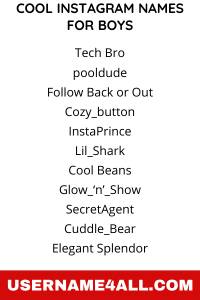 1250+ Best Attitude Username For Instagram For Boys [2022]