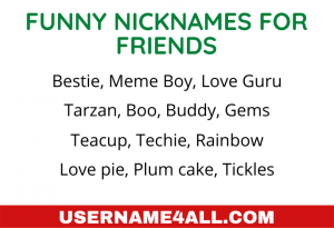 Funny Nicknames For Friends