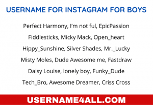 1250+ Best Attitude Username For Instagram For Boys [2024]
