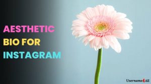 Aesthetic Bio For Instagram
