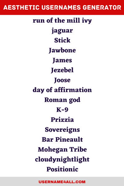 Aesthetic Usernames Generator