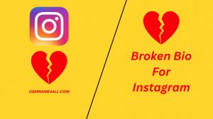 Broken Bio For Instagram