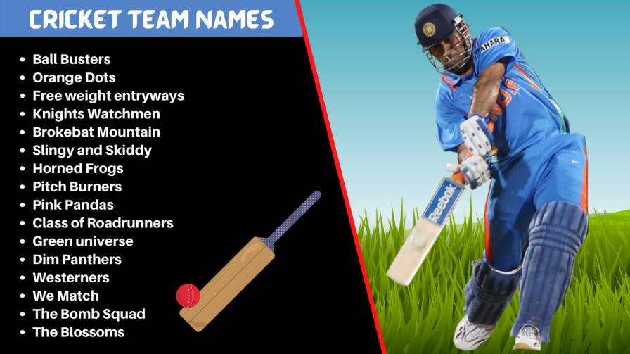 cricket local team names