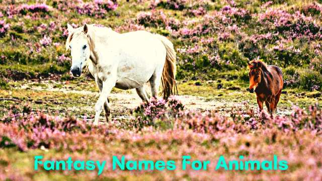 Fantasy Names For Animals