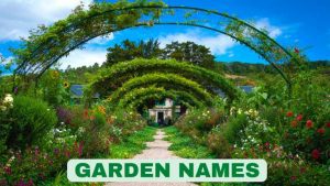 1200+ Cute & Funny Garden Names: Plant Nursery Names