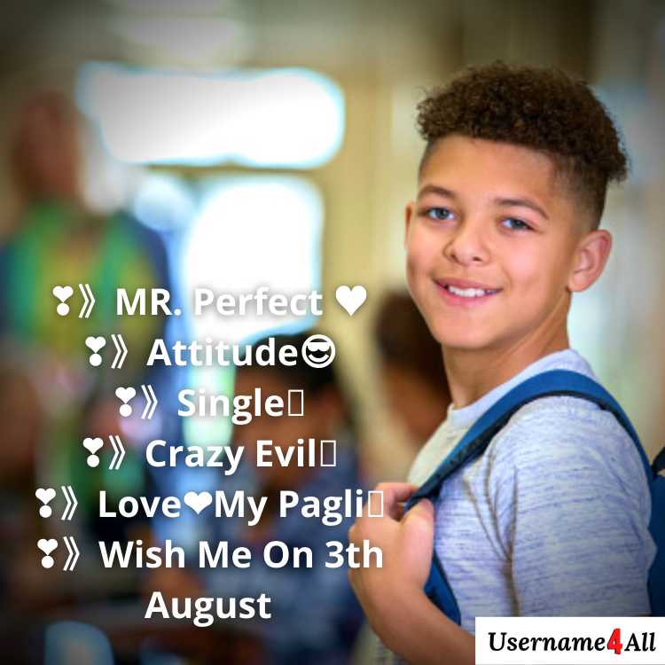 Instagram Bio For School Boy Stylish Fonts