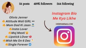 Instagram Bio Me Kya Likhe