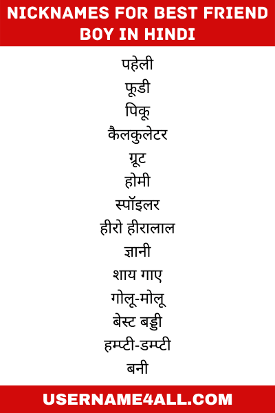 Nicknames For Best Friend Boy in Hindi