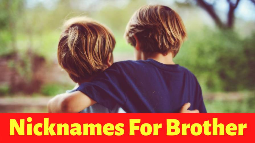 404+ Best Stylish & Funny Nicknames For Brother To Call Your Bro