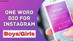 One word bio for instagram