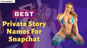 Private Story Names For Snapchat 1
