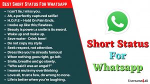 Short Status For Whatsapp