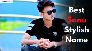 Sonu Stylish Name