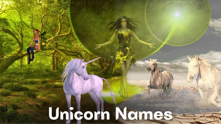 Unicorn Gamer Names | 7petals.in