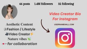 Video Creator Bio For Instagram