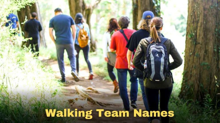 850-walking-team-names-cool-funny-and-unique-2023