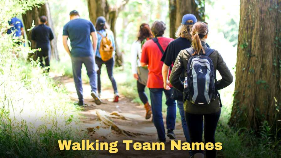 850+ Walking Team Names [Cool, Funny and Unique] 2023